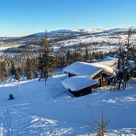 Ovre Reinsjofjell Casa vacanze Flå