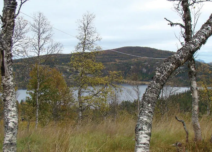 Vakantiehuis Ovre Reinsjofjell