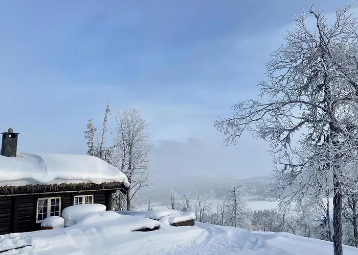 Ovre Reinsjofjell Vakantiehuis *