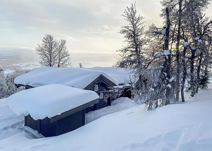 Vakantiehuis Ovre Reinsjofjell *